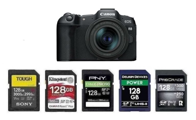 Best Memory Cards for Canon EOS R8
