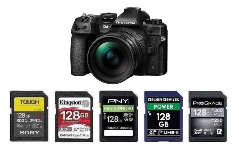 Best Memory Cards for OM SYSTEM OM-1 Mark II
