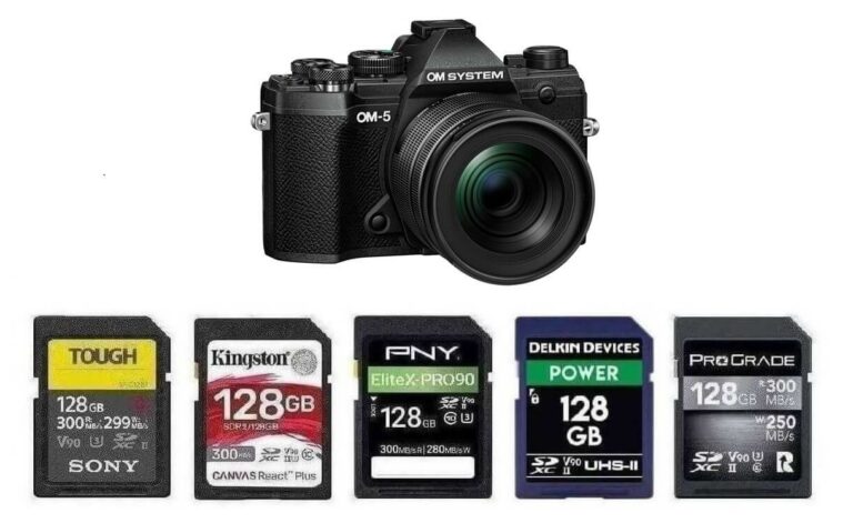 Best Memory Cards for OM SYSTEM OM-5