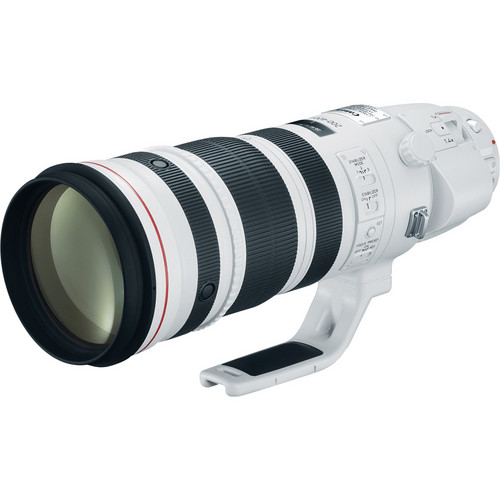 Canon RF 200-500mm f/4 L IS USM & RF 70-200mm f/2.8 L IS USM Z to be Announced in November?